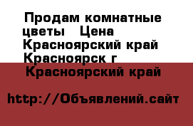 Продам комнатные цветы › Цена ­ 2 000 - Красноярский край, Красноярск г.  »    . Красноярский край